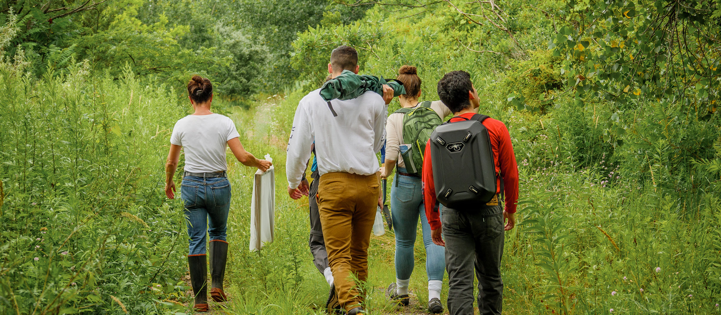 Brownfield LSP Research