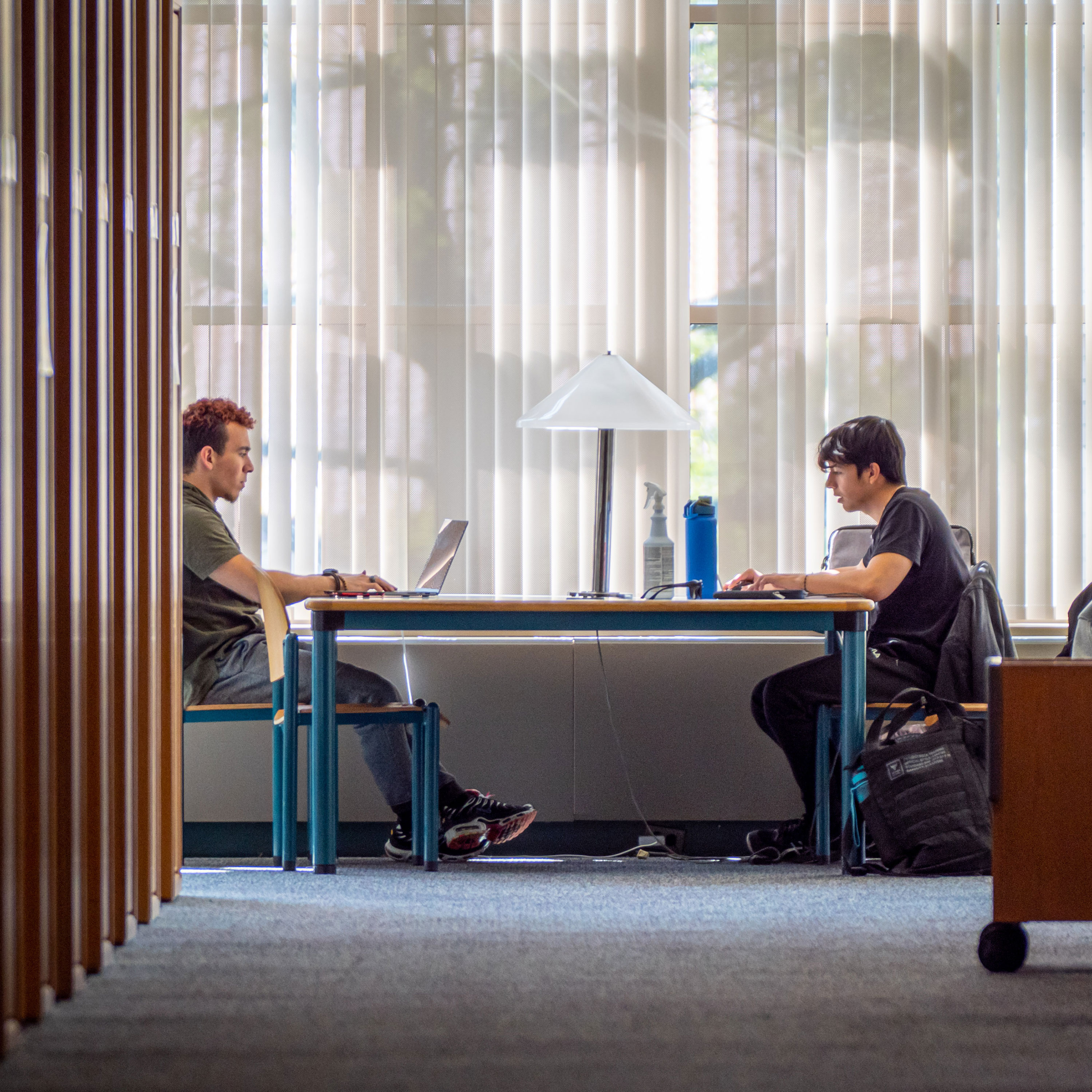 students studying in library