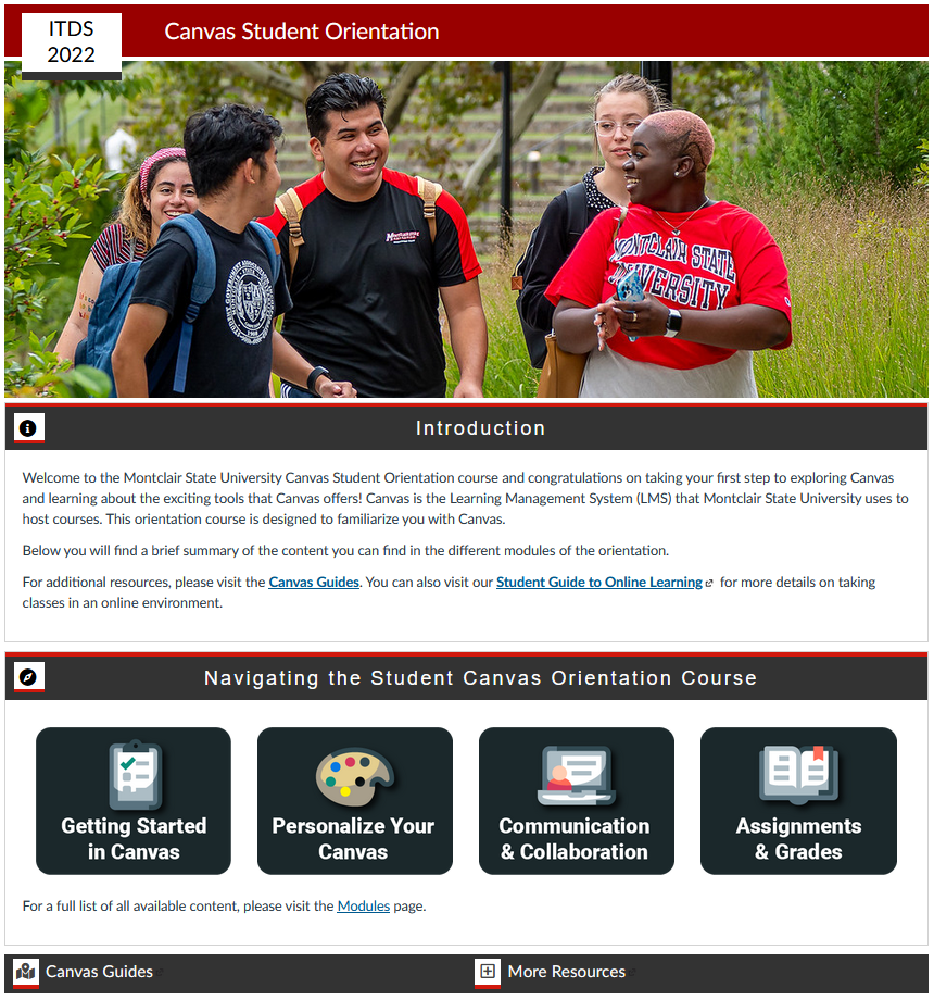 Screenshot depicting an example of a home page designed using the CidiLabs DesignPLUS toolset.