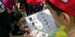 Eco-Explorer student looking at insect guide