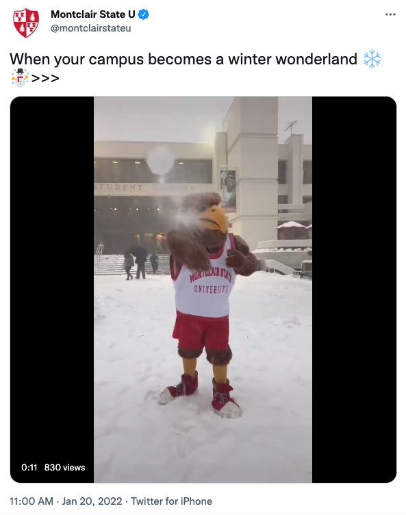 Rocky the Red Hawk throwing a snowball