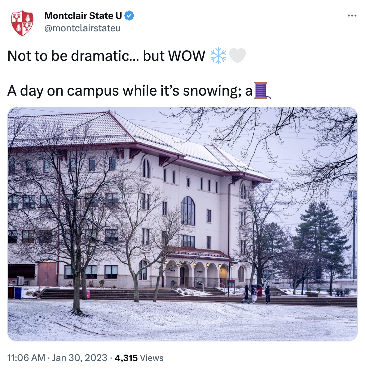 Not to be dramatic… but WOW (snowflake, heart). A day on campus while it’s snowing.
