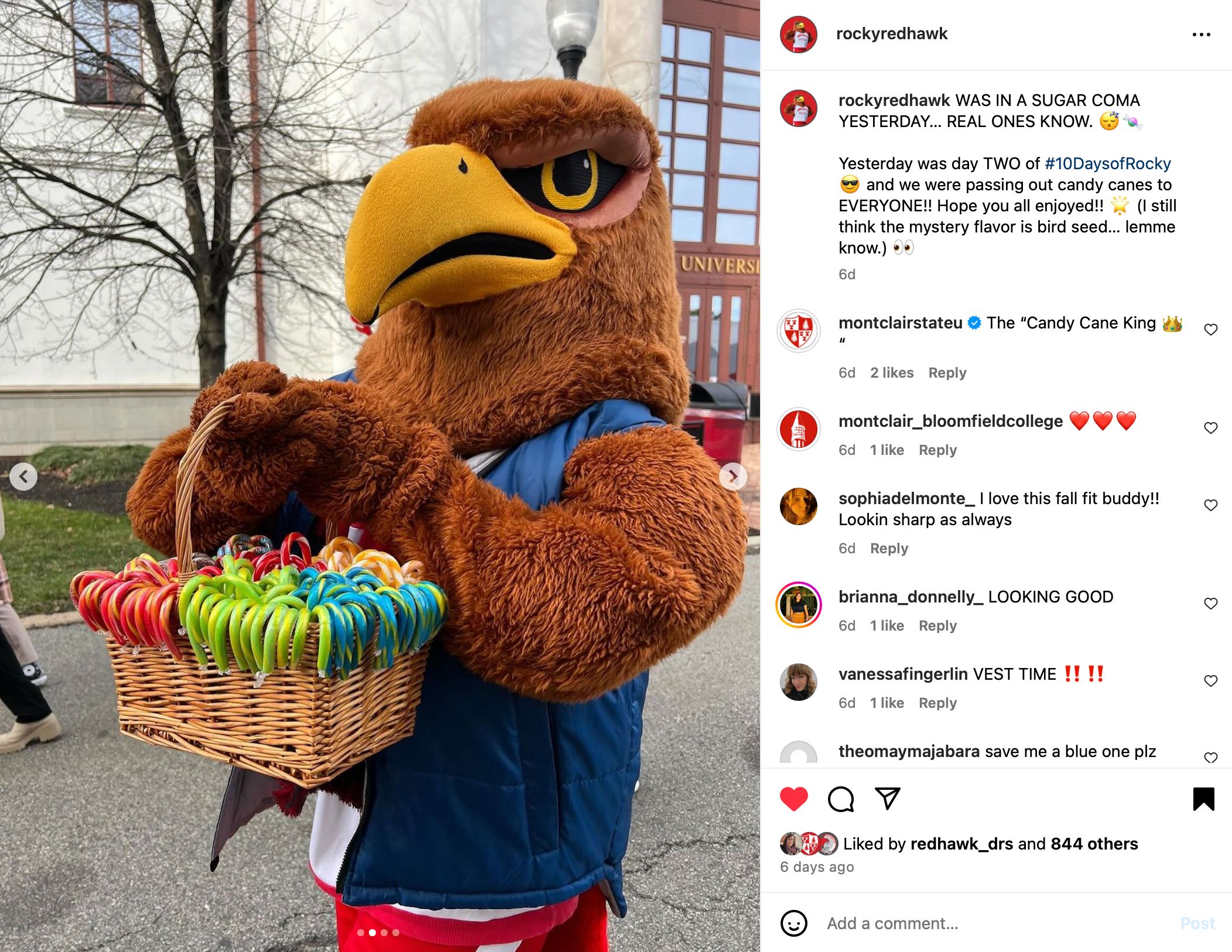 Screenshot of instagram post showing Rocky holding a basket full of candy canes
