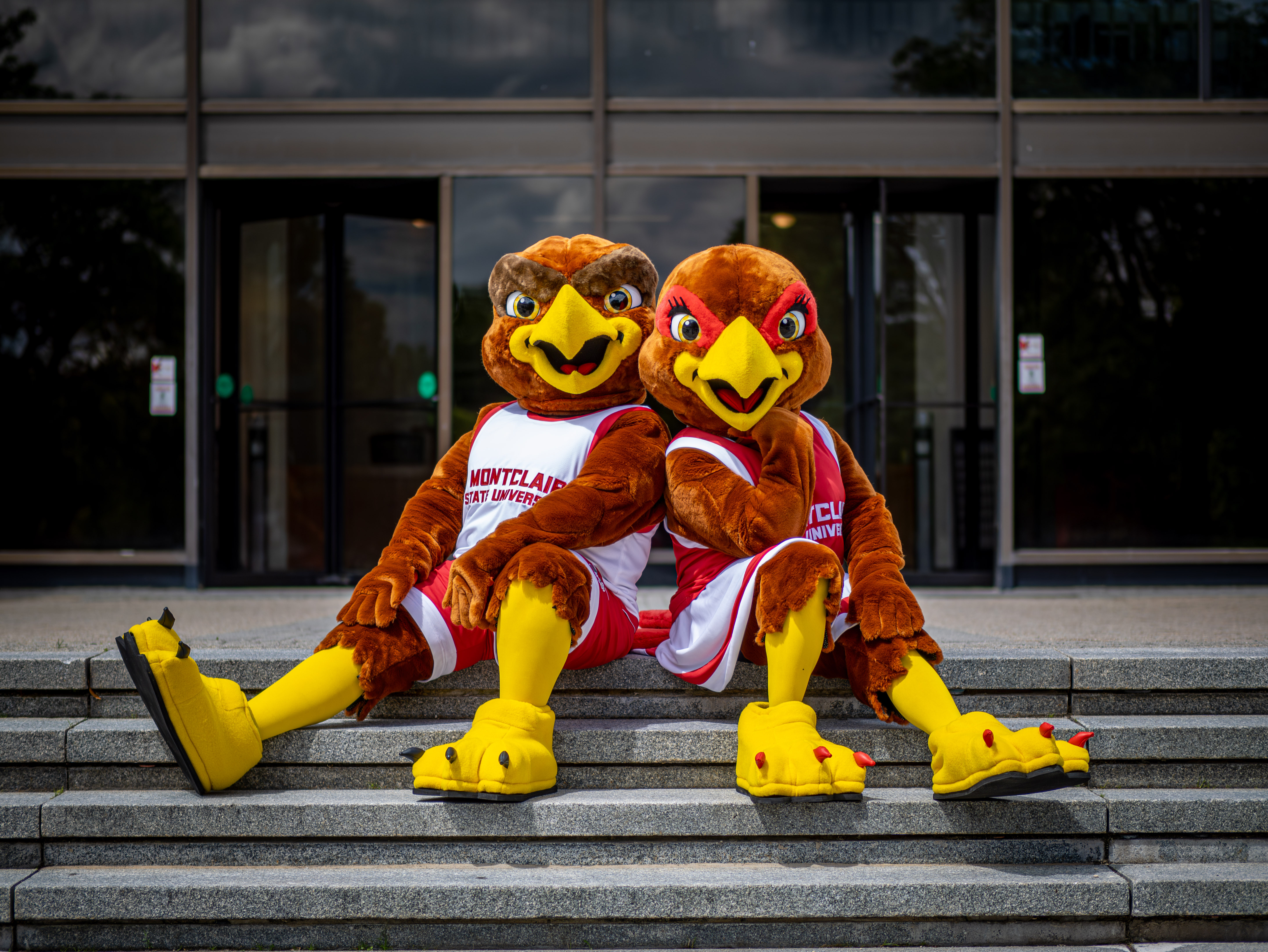 Rocky and Roxy sitting on the steps of the Student Center.