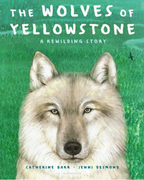 Review: The Wolves Of Yellowstone: A Rewilding Story – Institute For ...