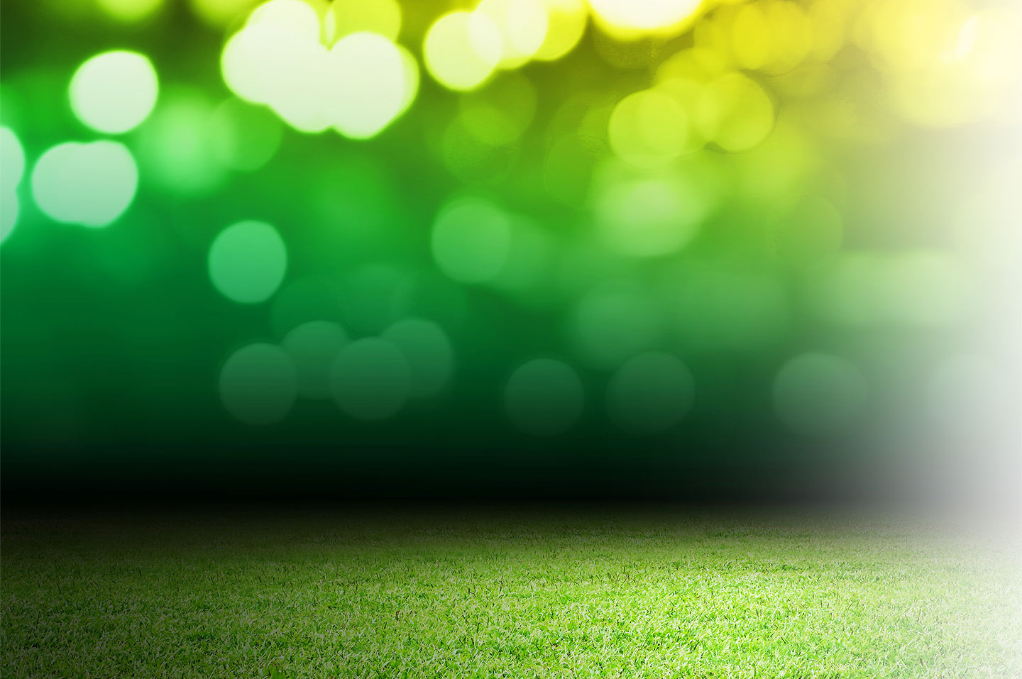 Blurred lights and grass background