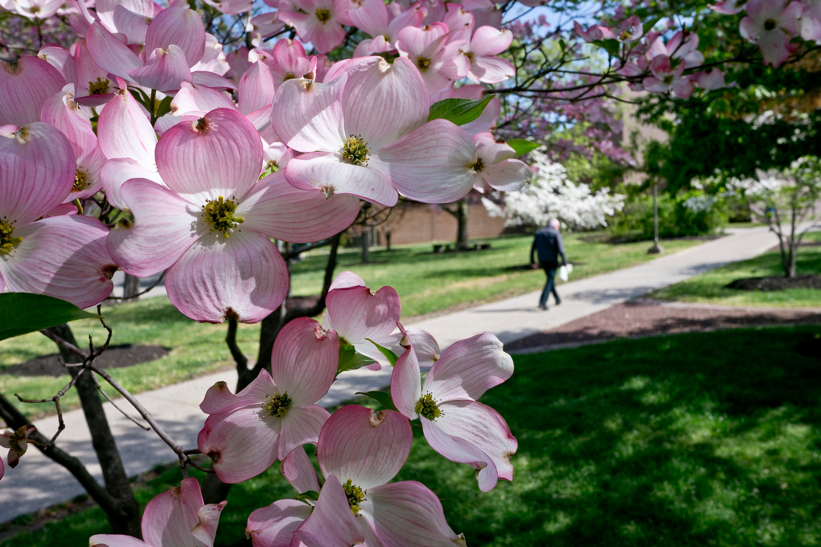 asian-languages-world-languages-and-cultures-montclair-state-university