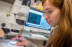 Student places a sample under a microscope camera with the video feed going to a computer on a desk to her right
