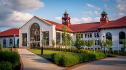 Susan Cole Hall