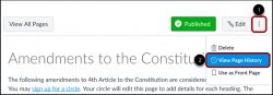 Screenshot pointing to the "..." button that contains the View Page History option
