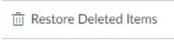 Screenshot displaying the Restore Deleted Items button