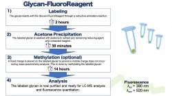 Glycan-FluoroReagent
