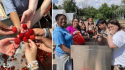 two photos side by side. on photo of hands together holding berries. On right, students smiling at berry washing station