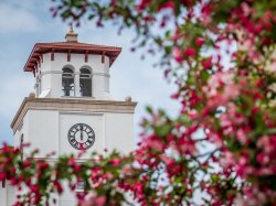 campus bell tower in background with pink blooming tree out of focus in foreground