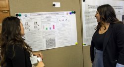 Feature image for 2016 Research Symposium Interdisciplinary Awards