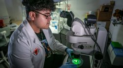 Melvin Rodriguez, wearing a white lab coat with a Montclair State University patch and blue gloves, sits at a fluorescent microscope in a dim lab. He looks intently through the eyepiece while holding a petri dish glowing bright green under the microscope lens, surrounded by scientific equipment and incubators in the background.