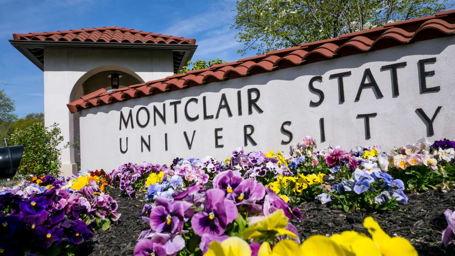 Free Microsoft Office…Yep…FREE! – Student Services - Montclair State  University