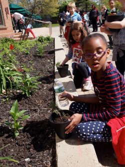 Bradford students planting on Earth Day