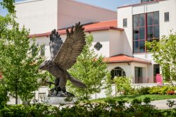 bronze red hawk statue