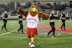 Rocky dancing with dance team on football field