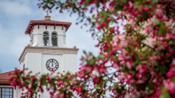 University Hall clocktower with cherry blossom blooms framed in the foreground.