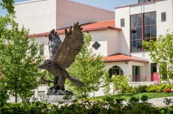 Photo of the redhawk statue