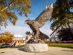 Red Hawk Statue