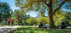 Students on campus some walking some sitting under the tree