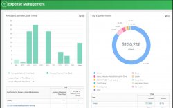 expense management dashboard graphs