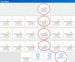 management chain in team