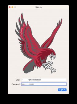 sign in popup with red hawk image
