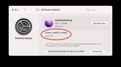 software update panel with "another update is available" circled