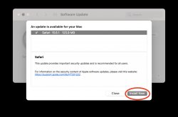 Software update panel with "Instal' now" circled