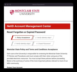 password reset page