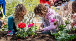 In honor of Earth Day, kindergarten and second-grade students from Bradford Elementary School plant flowers on the Montclair State University campus.