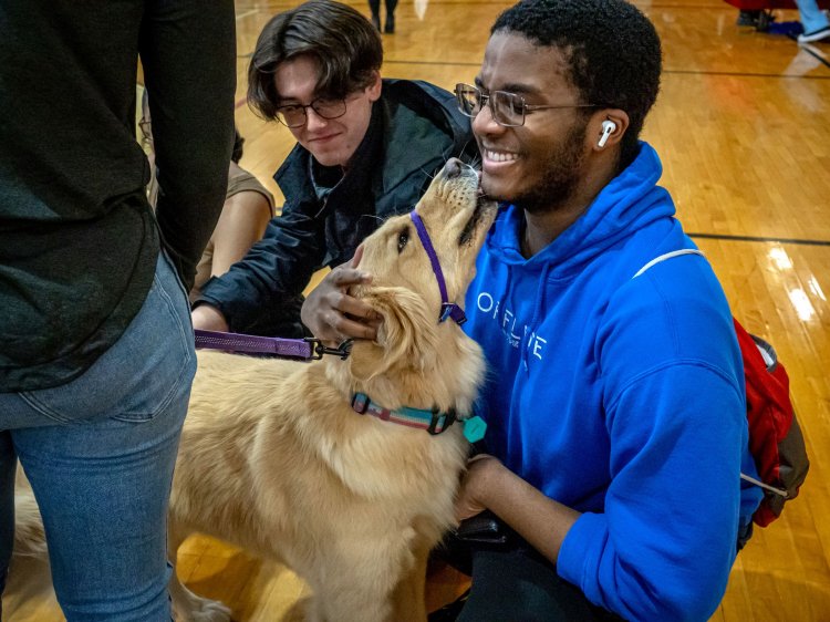 A golden retriever licks a male student’s face.