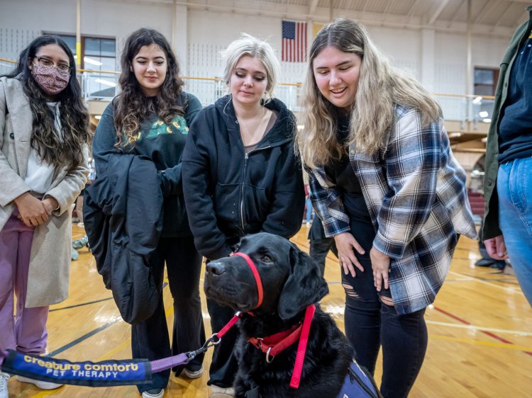 Four women greet a large black dog