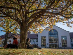 Two students sit under a tree with Cole Hall in the background.