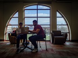 Students studying online in Feliciano School of Business