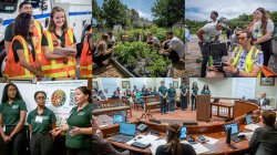 images of various green teams throughout the ten years of the program