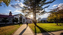 Picture of Cole Hall on a sunny day.