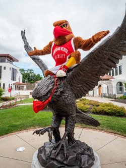 Red Hawk Restart - Montclair State University