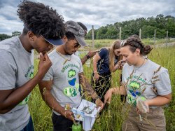 Students conducting research in a field