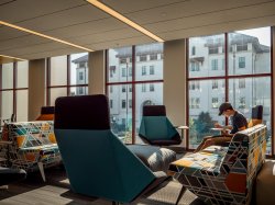 A student studying in the Graduate School near a window.