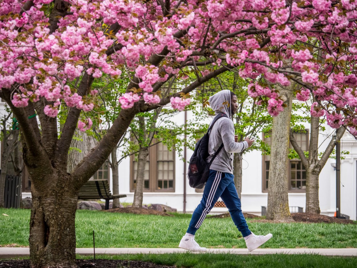 Create The Ideal Schedule Summer Sessions Montclair State University