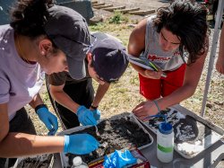 Team of students in 2019 in the field conducting research for the the NJ Center for Water Science and Technology. Three students are leaning over a tray of riverbed sediment and examining it's contents.