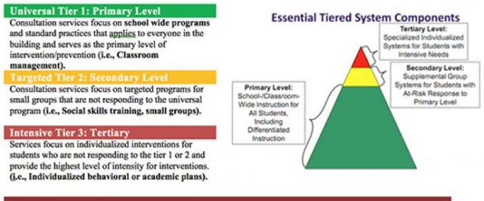 What are Tiered Services? - Special Needs Resourcing Collaborative