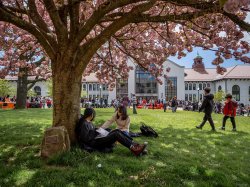 Two students sitting under a tree on Montclair State University's campus.