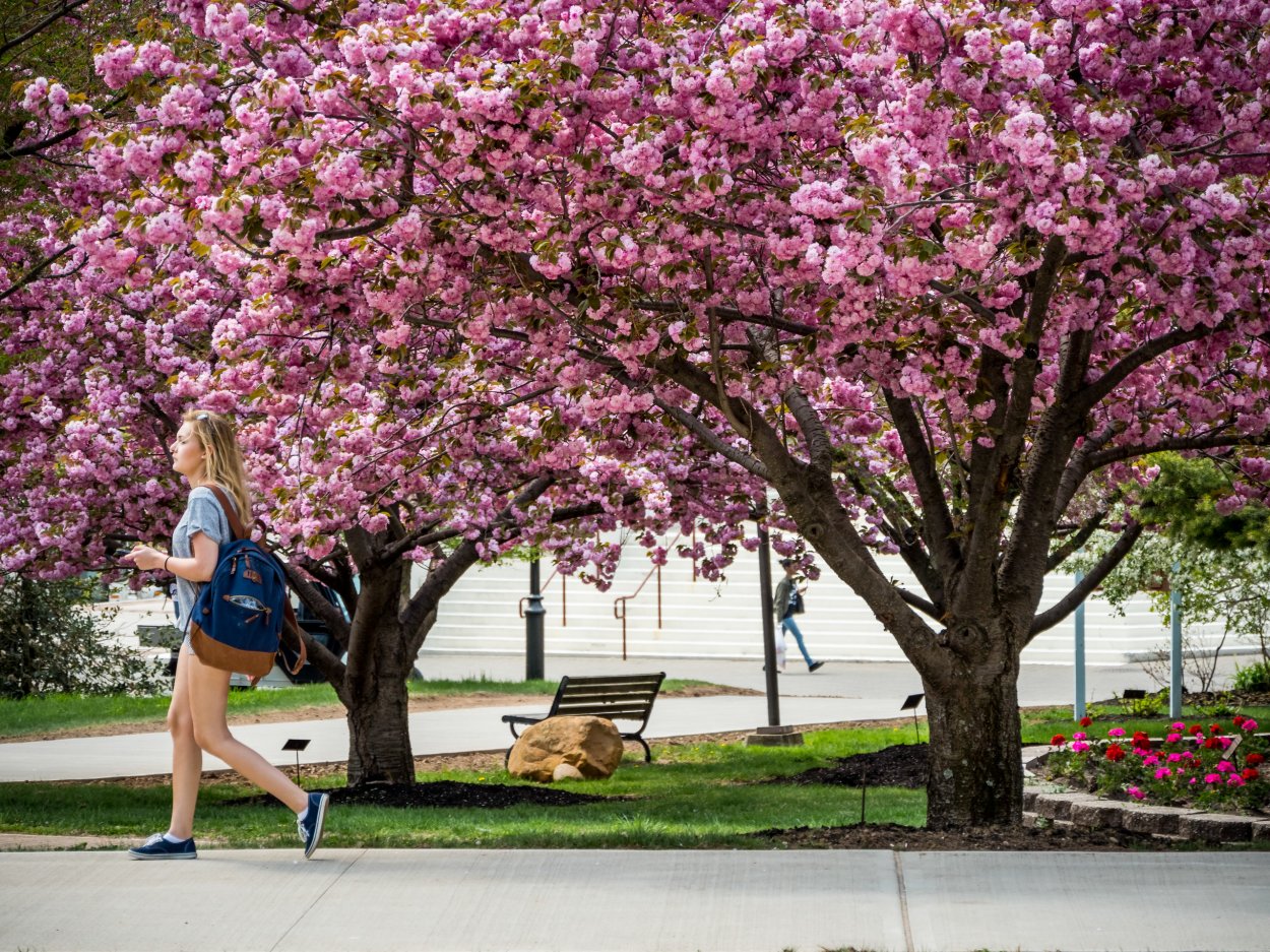 Faculty And Staff – Writing Studies - Montclair State University