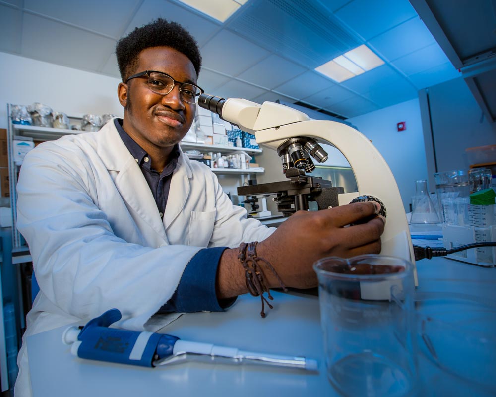 Student in laboratory using binocular microscope